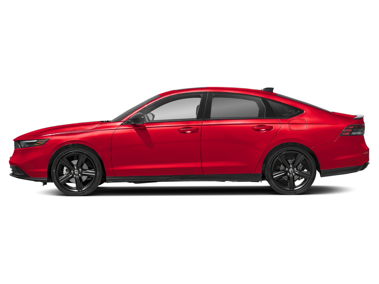 2024 Honda Accord Sport-L