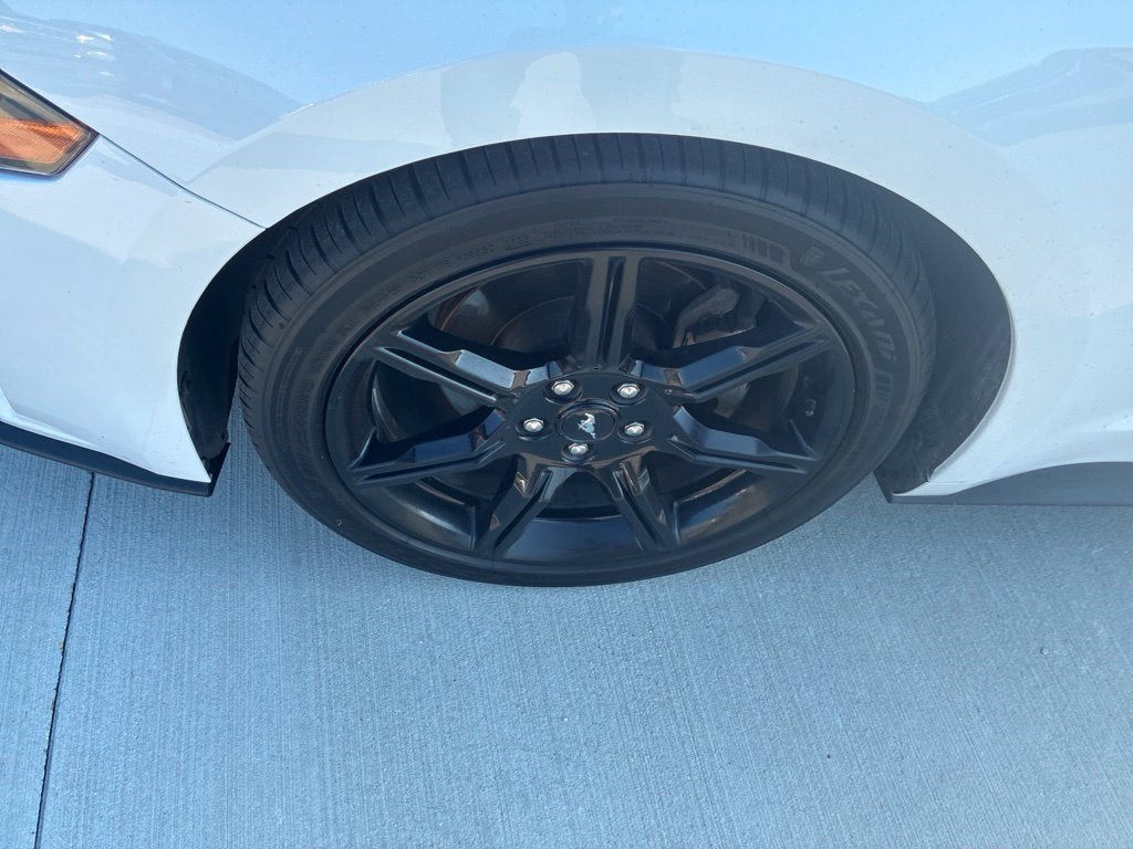 2019 Ford Mustang EcoBoost