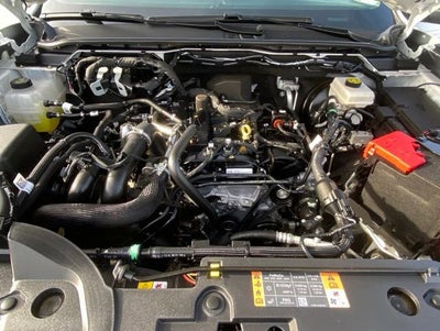 2024 Ford Ranger XL