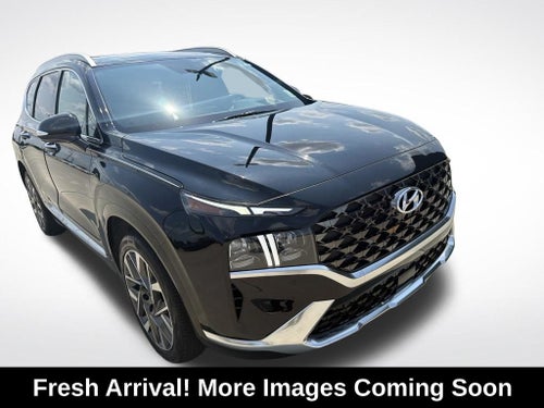 2023 Hyundai Santa Fe Calligraphy