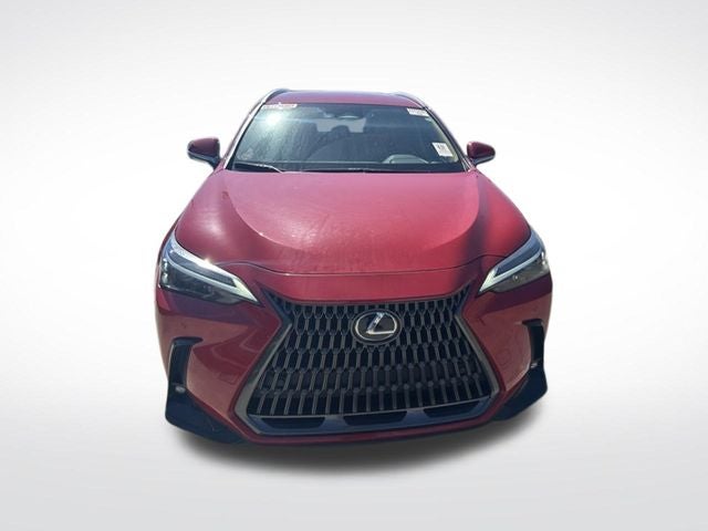 2025 Lexus NX 250 Base