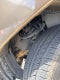 2013 Toyota Tacoma PreRunner V6